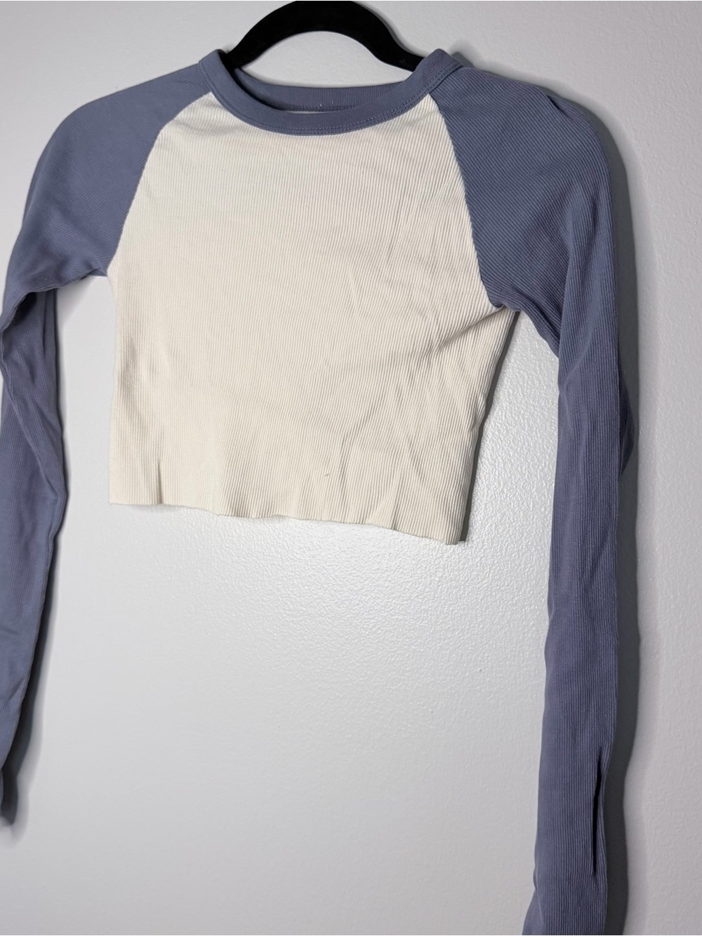 Cropped Raglan Long-Sleeve Top in Cream and Dusty Blue/purple